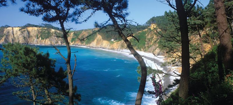 Playa de Cartavio
