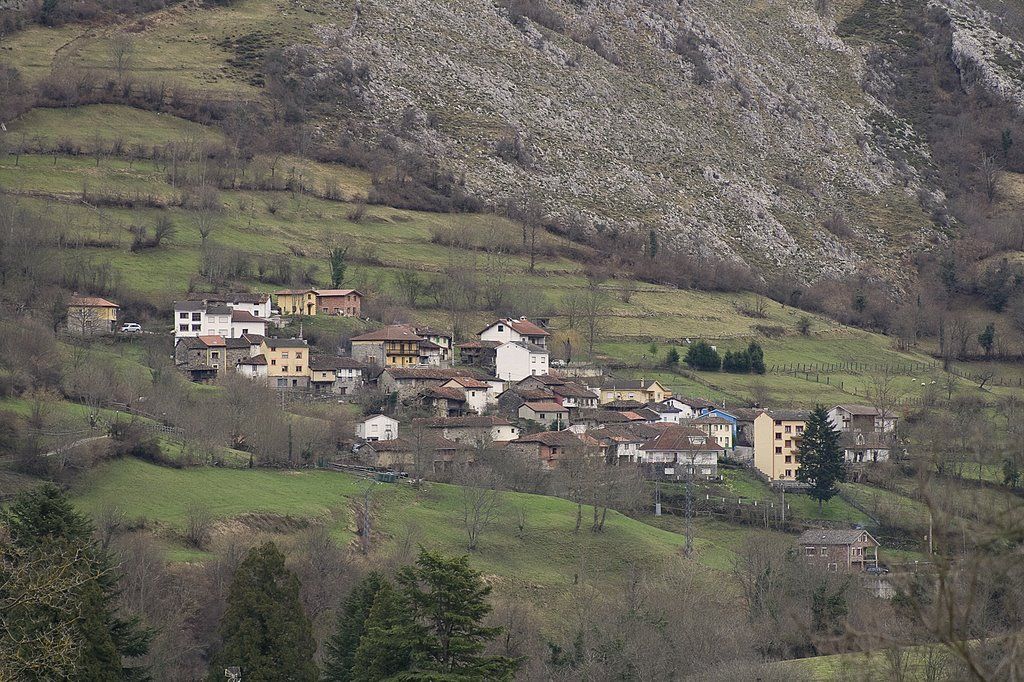 Veneros