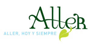 Ayuntamiento de Aller