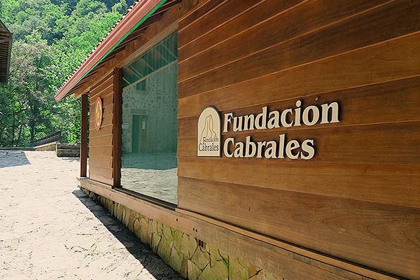 Fundación Cabrales