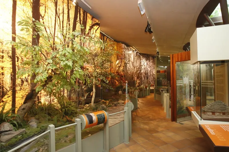 Interior centro de interpretación de muniellos