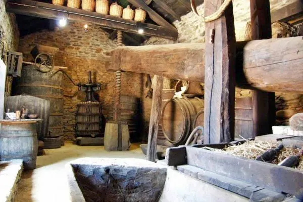 Interior museo vino narcea