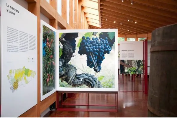 exposición museo vino narcea